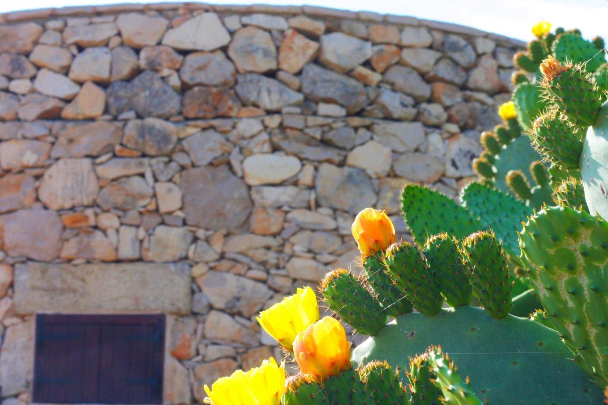 Trullo Macchie Leilighet Marina di Mancaversa Eksteriør bilde